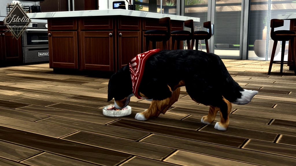 Traduction FR Better Pet Nutrition de LuSimLaStars traduit par Istolia Sims 4